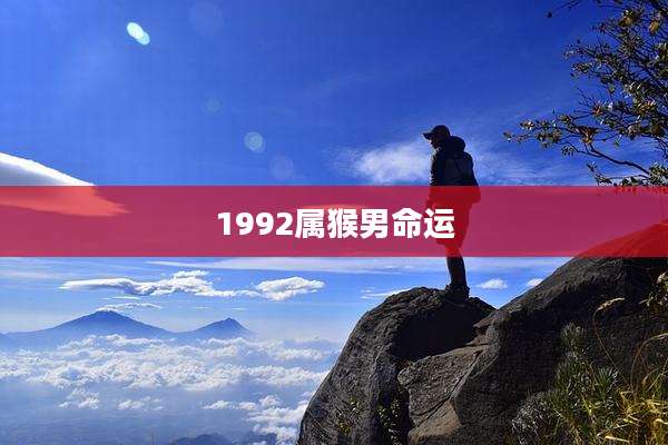 1992属猴男命运