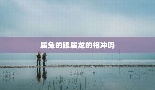 属兔的跟属龙的相冲吗