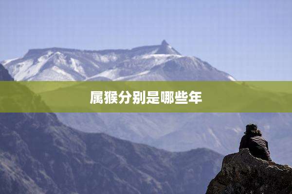 属猴分别是哪些年