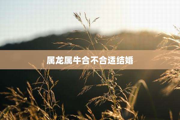 属龙属牛合不合适结婚