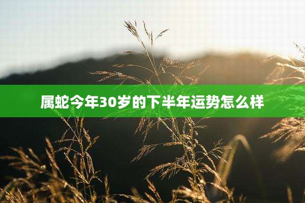 属蛇今年30岁的下半年运势怎么样