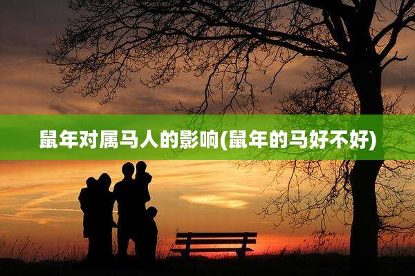 鼠年对属马人的影响(鼠年的马好不好)
