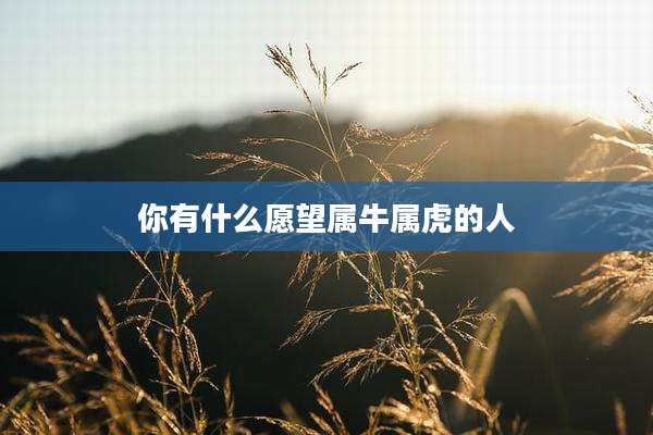 你有什么愿望属牛属虎的人