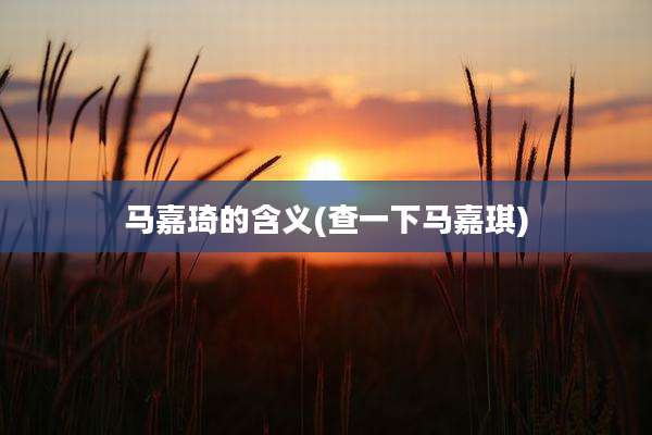 马嘉琦的含义(查一下马嘉琪)