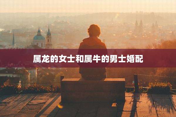 属龙的女士和属牛的男士婚配