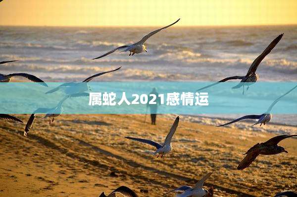 属蛇人2021感情运