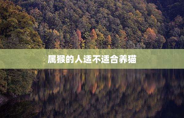 属猴的人适不适合养猫