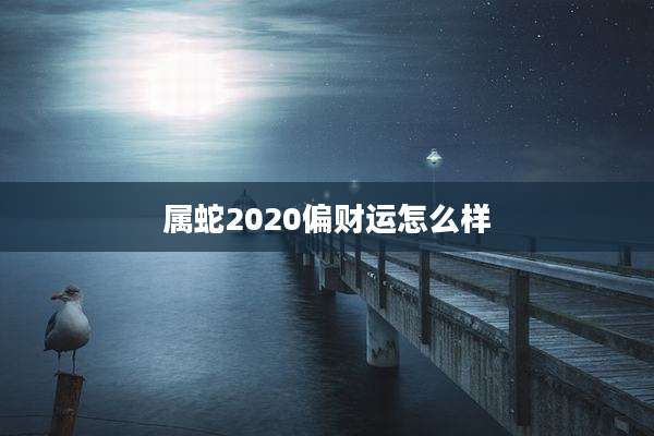 属蛇2020偏财运怎么样
