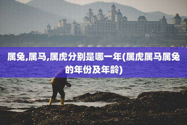 属兔,属马,属虎分别是哪一年(属虎属马属兔的年份及年龄)