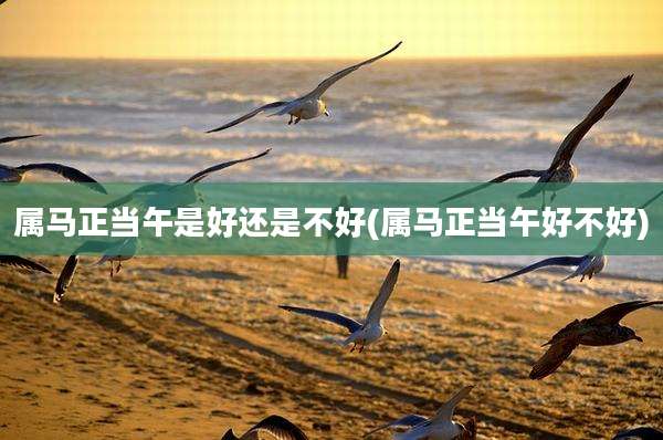 属马正当午是好还是不好(属马正当午好不好)
