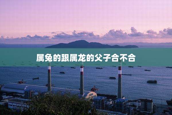 属兔的跟属龙的父子合不合