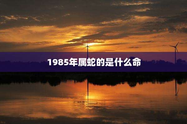 1985年属蛇的是什么命