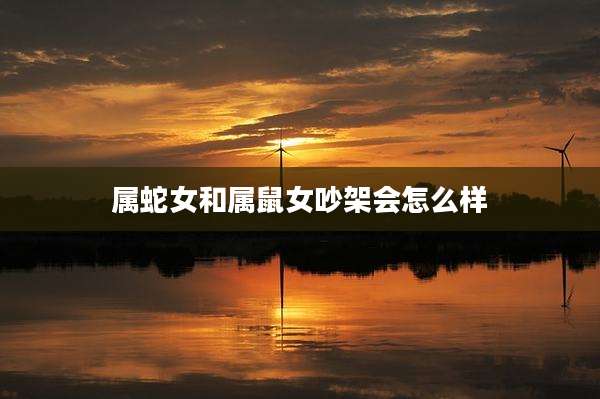 属蛇女和属鼠女吵架会怎么样