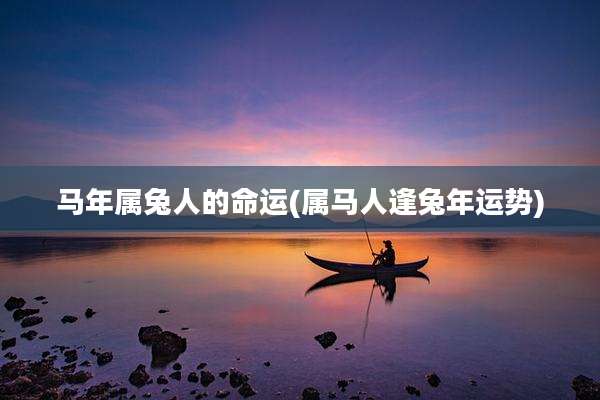 马年属兔人的命运(属马人逢兔年运势)
