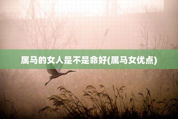 属马的女人是不是命好(属马女优点)