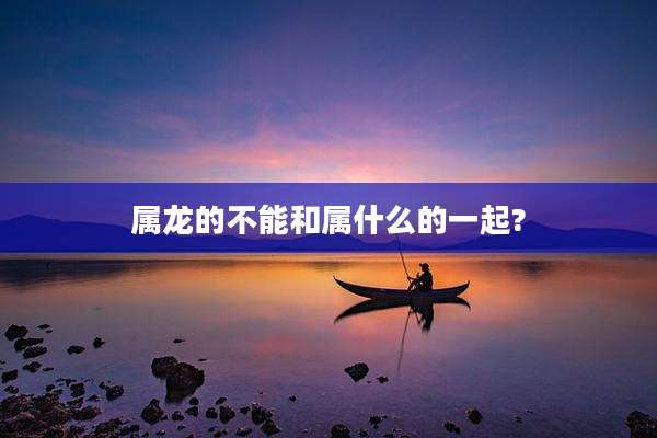 属龙的不能和属什么的一起?