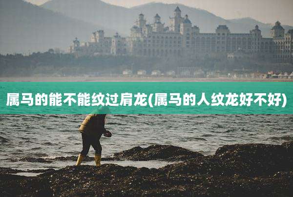 属马的能不能纹过肩龙(属马的人纹龙好不好)