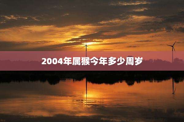 2004年属猴今年多少周岁