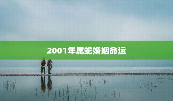 2001年属蛇婚姻命运