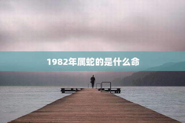 1982年属蛇的是什么命