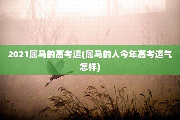 2021属马的高考运(属马的人今年高考运气怎样)