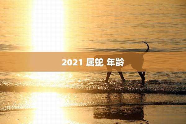 2021 属蛇 年龄