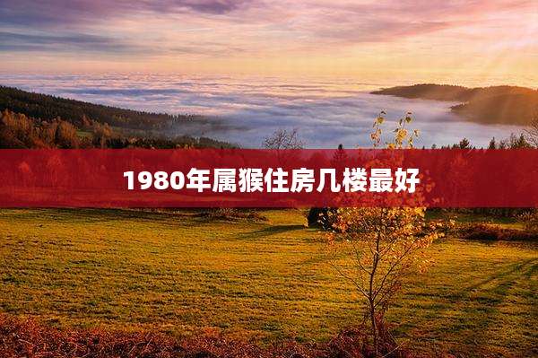 1980年属猴住房几楼最好