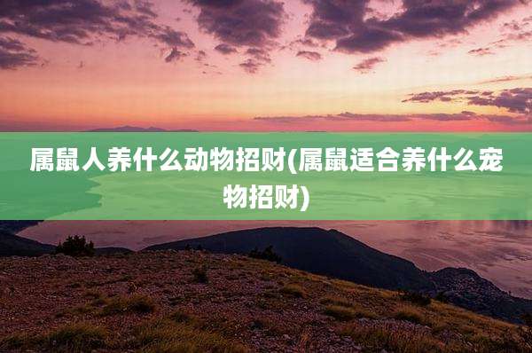 属鼠人养什么动物招财(属鼠适合养什么宠物招财)