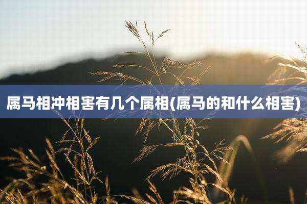 属马相冲相害有几个属相(属马的和什么相害)
