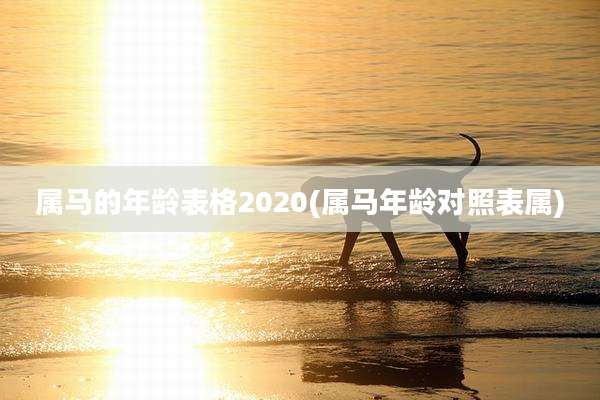 属马的年龄表格2020(属马年龄对照表属)