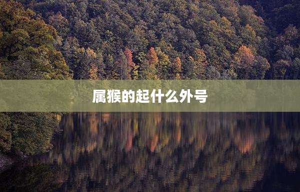 属猴的起什么外号