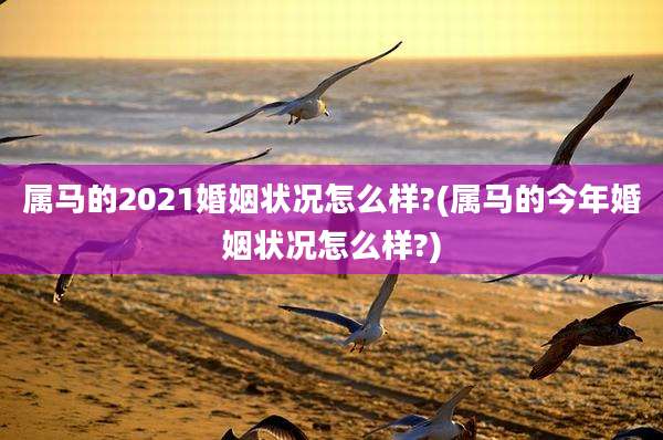 属马的2021婚姻状况怎么样?(属马的今年婚姻状况怎么样?)