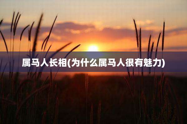 属马人长相(为什么属马人很有魅力)