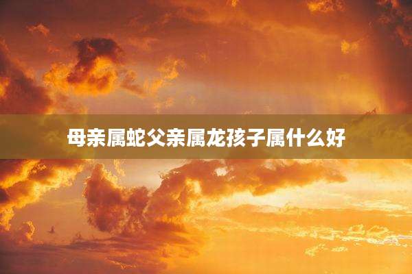 母亲属蛇父亲属龙孩子属什么好