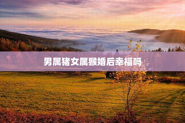 男属猪女属猴婚后幸福吗