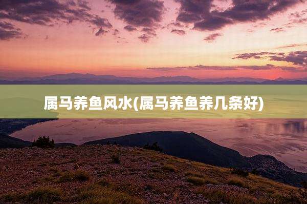 属马养鱼风水(属马养鱼养几条好)