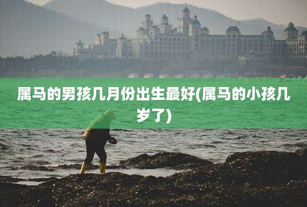 属马的男孩几月份出生最好(属马的小孩几岁了)