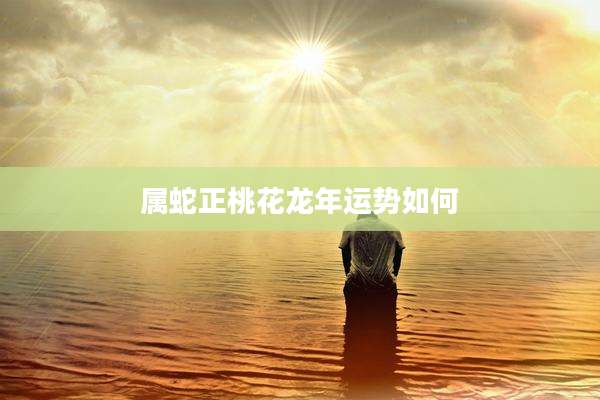 属蛇正桃花龙年运势如何