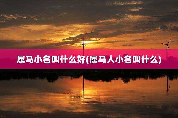 属马小名叫什么好(属马人小名叫什么)