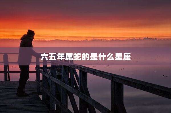六五年属蛇的是什么星座