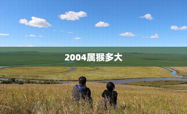 2004属猴多大