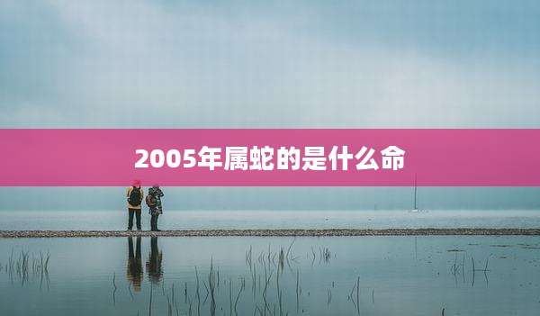 2005年属蛇的是什么命