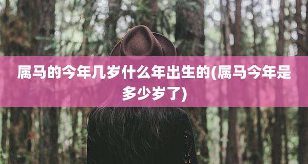 属马的今年几岁什么年出生的(属马今年是多少岁了)