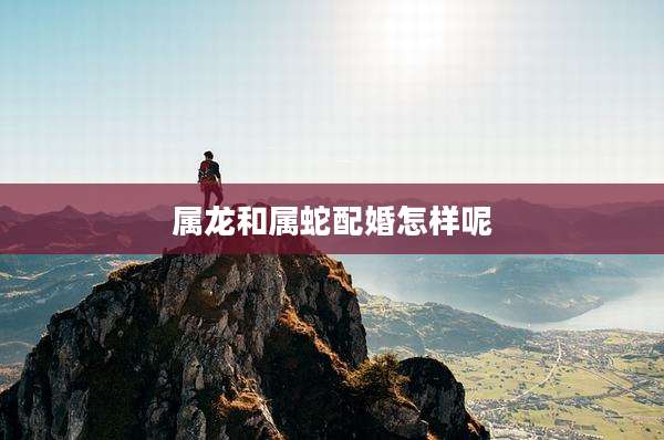 属龙和属蛇配婚怎样呢