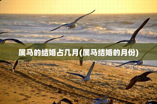 属马的结婚占几月(属马结婚的月份)