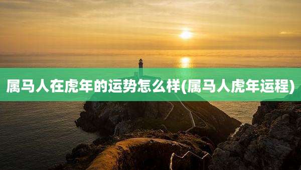 属马人在虎年的运势怎么样(属马人虎年运程)