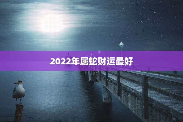 2022年属蛇财运最好