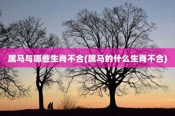 属马与哪些生肖不合(属马的什么生肖不合)