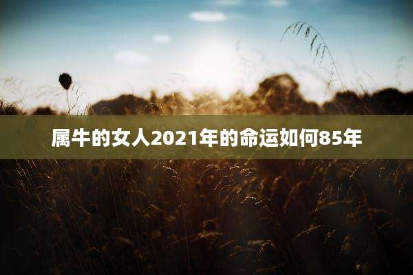 属牛的女人2021年的命运如何85年