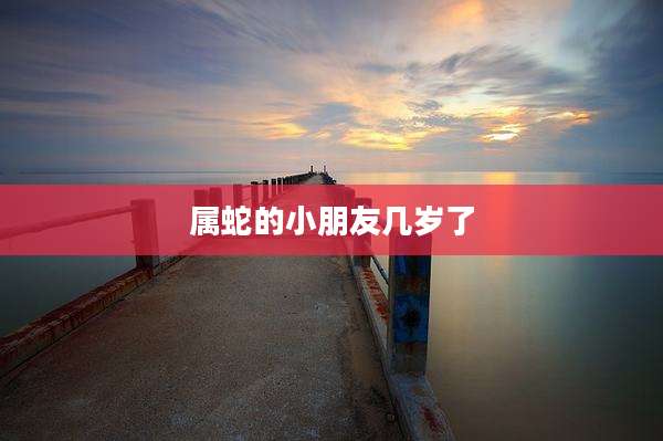 属蛇的小朋友几岁了